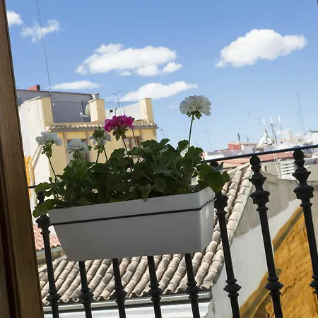 Singularstays Plaza Del Mercado バレンシア